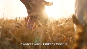 1L 10% Concentrated Plant Insecticide Spray Insecticide Egg Fruit Insecticide for Garden Plant Pest Control