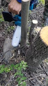 【🇲🇾 Stock】MEKITOR Cordless Chainsaw 8 inch Battery Electric Pruning Saw Chainsaw Rechargeable Lithium Battery Mini Chainsaw Electric Powerful Wood Cutter Machine Gergaji Pokok