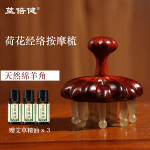 Anti-Hair Loss Sandalwood Comb Wide Tooth Mens Special Anti-Static Lotus Deer Antler Meridian Massage Comb for Hair Care