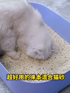 Mango ทรายแมวเต้าหู้ 8L/2.5Kg ทรายแมว ขับไล่กลิ่นเหม็น ทรายแมวเต้าหู้ รายเต้าหู้แมว