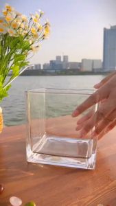 Aquarium Plant Grass Seed Water Feature Decoration Landscaping Beautiful Aquatic Plant Lawn Seed