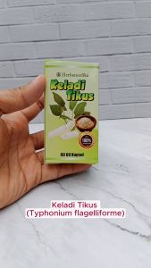Kapsul Keladi Tikus Asli Original isi 60 - Obat Herbal Khusus Kanker
