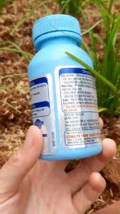 [Freeship Max] Phân bón lá BLOOMBIZ hữu cơ giúp bung đọt đẻ nhánh phục hồi cây suy yếu bông to sáng hạt chai 100ml_VTNN TIEN KHOA