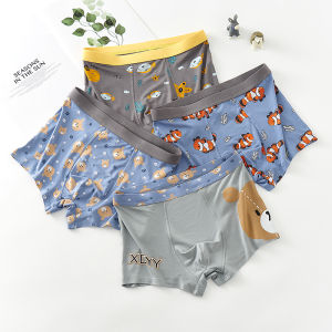 Teenage Boys Modal Underwear Boxer Shorts Middle School Students Flat Angle Pants High School Boys Development Period