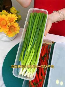 Food Grade Sealed Storage Box for Onion Garlic Ginger Chili And Fruit Freshness Preservation Kitchen Prep Dish Soaking Container