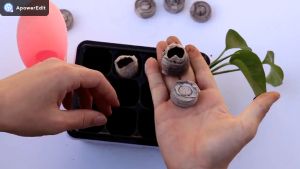 Peat Pellet Pallet Seed Starting Plugs Seedling Soil Block Nutrition Germination Grow Bag