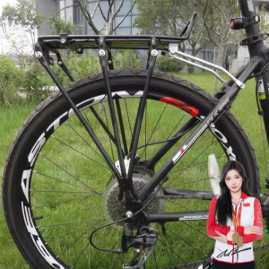 KEZEBIN | Mountain Bike Aluminum Cargo Rack
