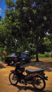 Striping Stiker Polet motor yamaha f1zr fiz r f1 zr 1996 hitam stiker list body standar berkualitas termurah Barokah Sticker