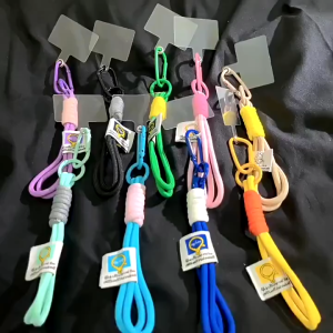 BECORATE Multifunctional Fashion Keychain with Braided Phone Lanyard for Car Keys Accessory and Phone