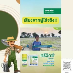 BASF Treevix ทรีวิกซ์ สารกำจัดวัชพืช แบบซอง 10 กรัม
