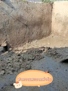 (จัดส่งที่รวดเร็ว)แข็งแรงและทนทาน พลั่วแซะหญ้า จอบเล็กถากหญ้า พลั่ว จอบดายหญ้าคมๆ เสียมแซะหญ้า เครื่องมือทำสวน ทำความสะอาดถน ทำความสะอาดปศุสัตว์ พลั่วเหล็ก หัวพลั่ว เสียมหน้าแบน เสียมแซะหญ้า พลั่วทำความสะอาดอเนกประสงค์ จอบถากหญ้า เสียมขุดดิน