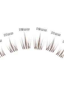 ขนตาปลอม Sunflower ความหนาแน่นสูง ขนตาปลอมแบบแยกชิ้น ปลายโปร่งใส สำหรับผู้เริ่มต้น สีตาเท้า Caramel สำหรับทุกสภาพผิว