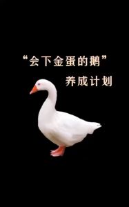 正版书籍✅《小狗钱钱》全套2册 给孩子的财商课 博多舍费尔 启蒙 金融 读物