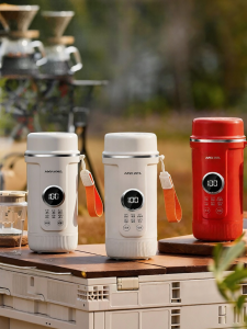 APIXINTL | Portable Temperature-Controlled Electric Kettle