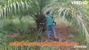 เครื่องตัดน้ำมัน พร้อมชุดต่อความยาวและหัวเปลี่ยนทั้งเสียม เคียว และใบเลื่อย ความยาวรวมคนเก็บเกี่ยว 4.80 เมตร มีอนุสิทธิบัตรห้ามละเมิด