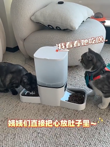 Tuya Dual Bowls Smart Pet Feeder with Camera Automatic Pet Feeder Cat Dog Food Dispenser Kitty Doggy Feeder 6L Large Capacity