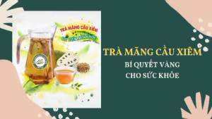 Trà mãng cầu xiêm núi trồng thuận tự nhiên hiệu Minh Hưng Phát