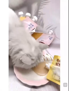 Pet Broth Pouch Complete Nutrition Neku Chicken Soup Supports Healthy and Delicious Hydration Cats & Dogs 60g