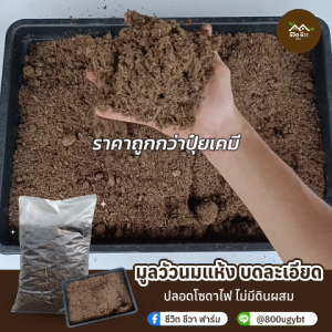 มูลวัวนมแห้ง มูลวัวนม บดละเอียด ขนาด 10 ลิตร