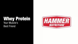 Hammer Nutrition Whey Protein | 100% Whey Protein Isolate + 6g L-Glutamine | Muscle Recovery