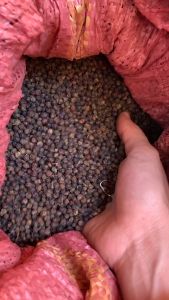 Hạt tiêu sọ (gói 500g) hồ tiêu gia vị nhà bếp hàng loại 1 thơm sạch chất lượng thơm nức mũi HN