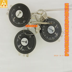 Rainbow Liquid Expansion Temperature Controller Constant Temperature Humidity Box Overheating Protector 2 Tooth Activity Screw