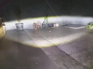 LAMPU DAYMAKER 19 LED & 16 LED: Pilihan Terbaik untuk Motor Japstyle