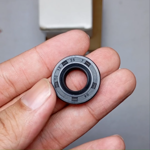 Seal Tc 12 25 7 Nok k INB JEMBER