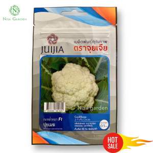 เมล็ดพันธุ์ กะหล่ำดอก ปุยเมฆ หวานกรอบ ดอกใหญ่