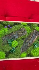 Seni Dinding Rumput Laut & Desain Interior Eksklusif