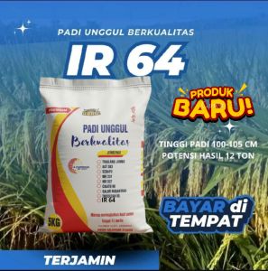 BENIH PADI TERBARU IR 64 KUWALITAS UNGGUL KEMASAN 5KG