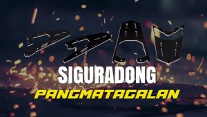 Rusi Neptune   Top box bracket /  POWER STEEL /Motorcycle Accessories Heavy duty Lifetime Warranty Original racks