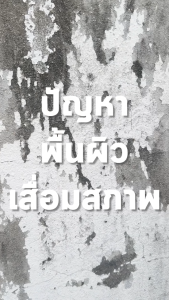 TOA 4 Seasons โฟร์ซีซั่นส์ ภายนอกและภายใน ชนิดกึ่งเงา สีขาว-AG1000 (18 ลิตร)