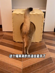 Rumah Kucing Felt Mewah - Boleh Lipat & Tambah Terowong 40x40x40cm Felt Cat House Cats Nest Dice Shaped Cats Nest猫窝 猫隧道 毛毡板猫屋