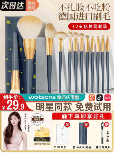 Complete Set Makeup Brush Kit Foundation Highlighting Contour Concealer Brush Long Handle Waterproof Cosmetic Tools for Face