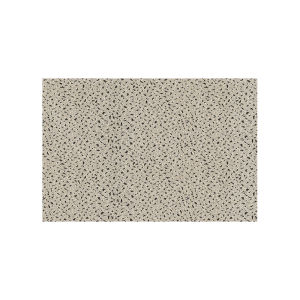 OULAISEN | Scrape and Dust Removal Door Mat