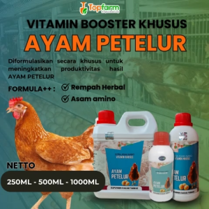 Vitamin Booster Ayam Petelur / Vitamin Produktifitas Ayam Petelur / Vitamin Ayam Petelur / Obat Ayam Cepat Bertelur / Vitamin Percepat Proses Produksi Ayam Petelur / Vitamin Herbal Ayam Petelur / Asam Amino Untuk Ayam Petelur