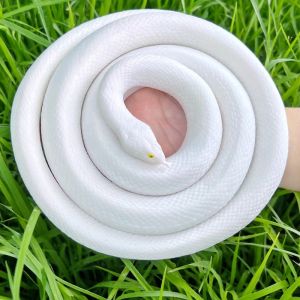 Large Size Soft Rubber Snake Simulation Toy White Snake Legend Performance Props White Python Childrens Fake Snake Animal Models