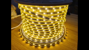 (Sỉ) Đèn LED dây 5730/2835 2 hàng bóng 220V siêu sáng (cuộn 100m) - BH 1 năm
