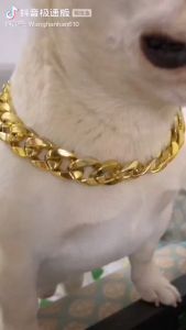 [HAKO PETSHOP] Kalung Hewan Peliharaan Anjing Kucing fashion Rantai Emas