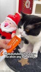 Puainta Cat Grass Hairball Gel for Cats Natural Hairball Remedy Paste Gentle Discharge Hairballs Improve Digestion for Kitten Adult Cat Pet Supplement