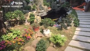 Thức ăn cá KOI giúp tăng màu body đẹp (đảm bảo PHÁT TRIỂN toàn diện - MÀU SẮC đẹp)(BAO 5KG) King feed