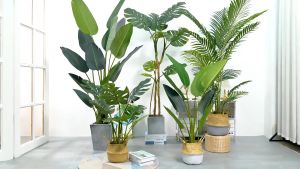 POKOK HIASAN VIRAL / POKOK PISANG / ARTIFICIAL PLANT / ARTIFICIAL TREE / POKOK MONSTERA