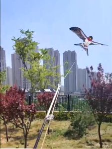 Mùa Xuân Hoạt Hình Mô Phỏng Bướm Máy Bay Kuromi Lotso Bay Diều Cầm Tay Diều Trẻ Em Cầm Tay Diều Thể Thao Ngoài Trời Đồ Chơi