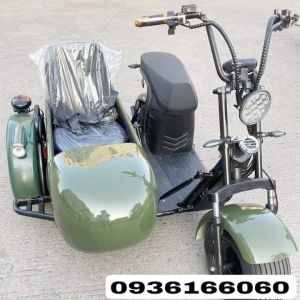 XE ĐIỆN BA BÁNH HARLEY