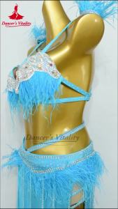 Belly Dance Suit Womens Senior AB Stones Bra+Feather Tassel Long Skirt 2pcs Oriental Dance Performance Outfit Dancers Vitality