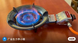 Butterfly BGC-30A Gas Stove | Auto Ignition | Cast Iron Burner | High Efficiency