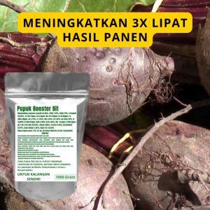 Pupuk Booster Bit Pelebat Organik Cepat Berbuah Lebat Besar Anti Rontok Pembesar Bit