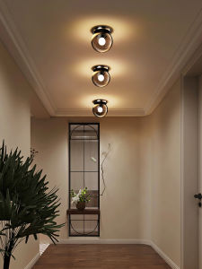 Aiskdan | Minimalist Luxurious Modern Ceiling Light