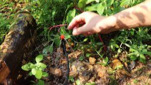 หัวรดน้ำต้นไม้ หัวหยดน้ำ หัวพ่นหมอก อุปกรณ์รดน้ำต้นไม้ สายยางรดน้ำต้นไม้ พ่นหมอก พ่นละอองน้ำ รดน้ำต้นไม้